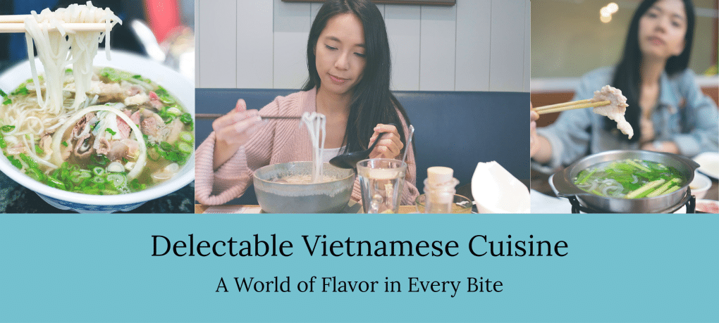 Delicious bowl of Vietnamese pho